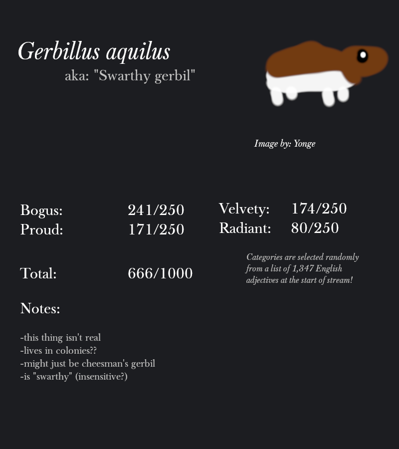 Gerbillus aquilus